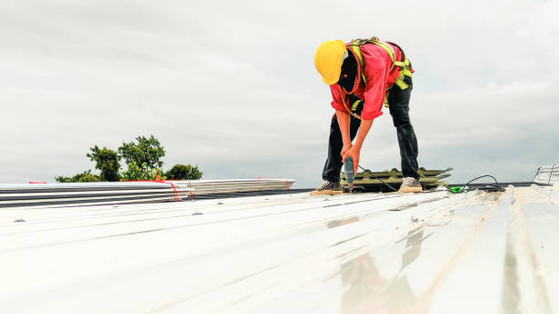 Fast & Reliable Emergency Roof Repairs in Hemlock, MI